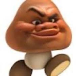 Meet your Posher, Dylan